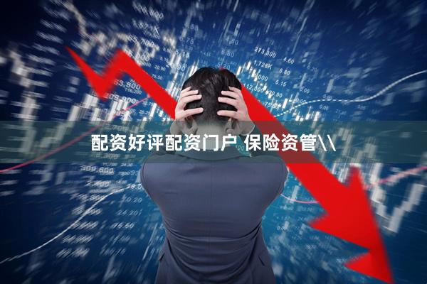 配资好评配资门户 保险资管\
