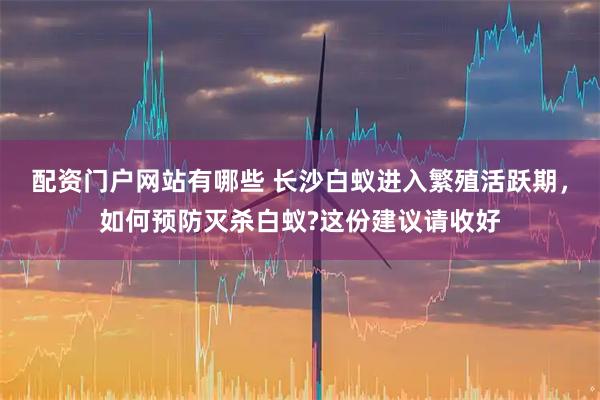 配资门户网站有哪些 长沙白蚁进入繁殖活跃期，如何预防灭杀白蚁?这份建议请收好