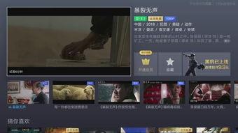 2018国产在线,匠心独运，绽放时代风采